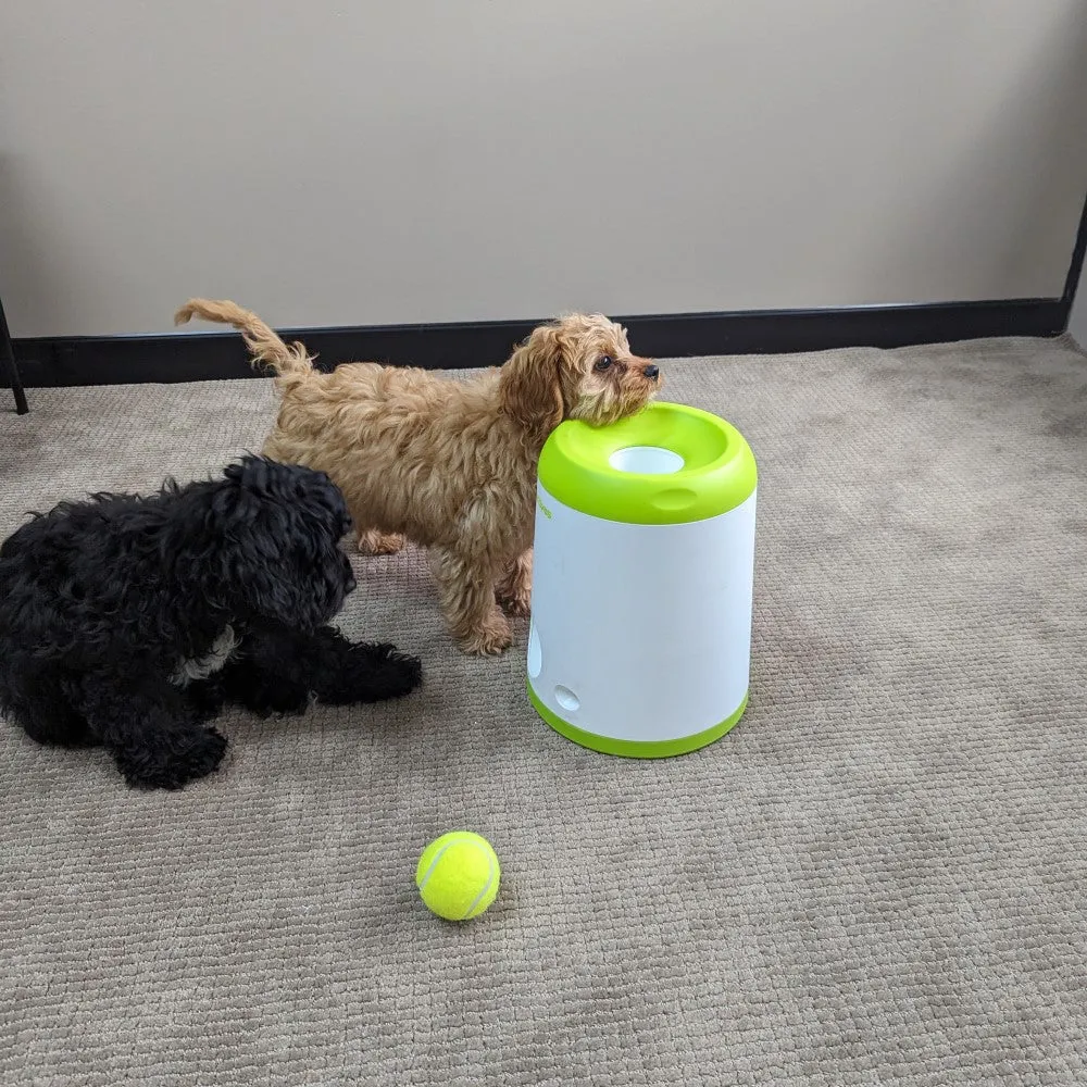 All For Paws Interactives Fetch 'N' Treat 2nd Gen