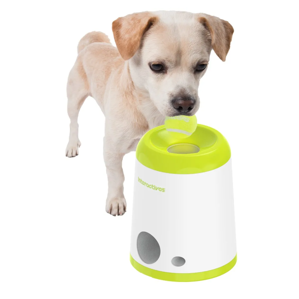 All For Paws Interactives Fetch 'N' Treat 2nd Gen