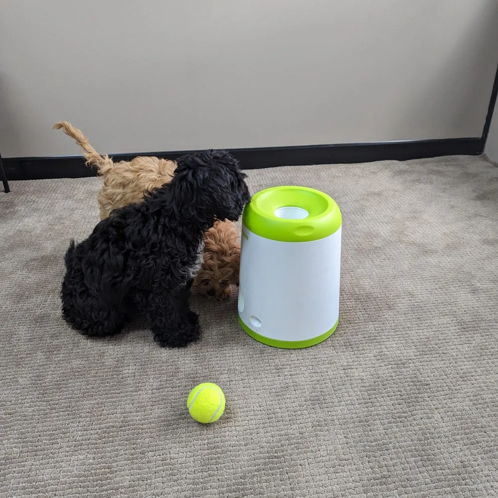 All For Paws Interactives Fetch 'N' Treat 2nd Gen