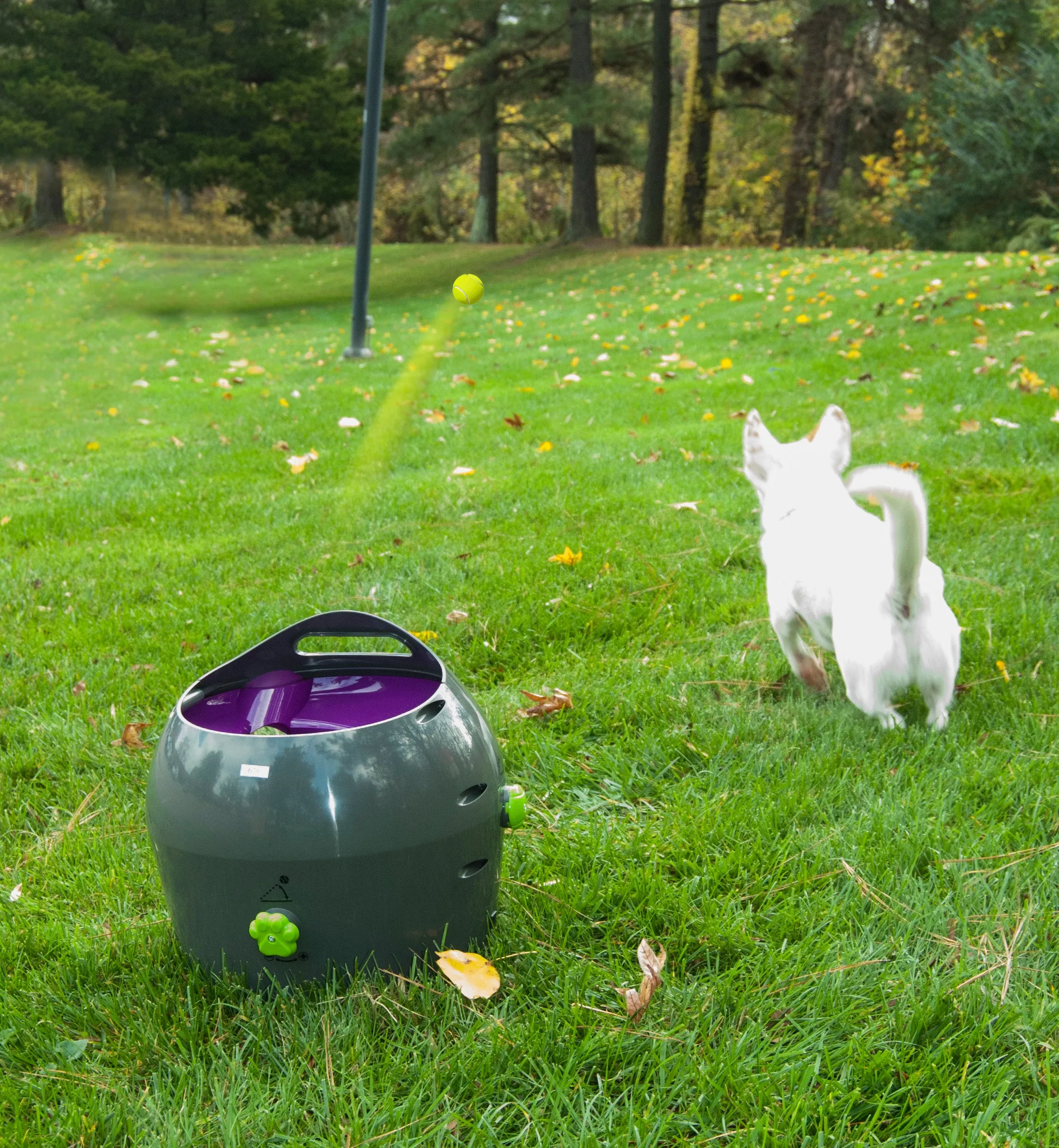 Automatic Ball Launcher