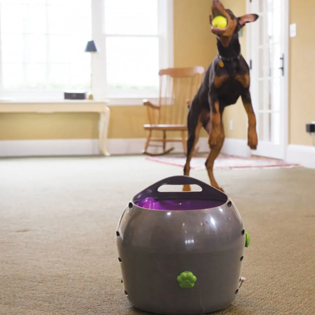 Automatic Ball Launcher