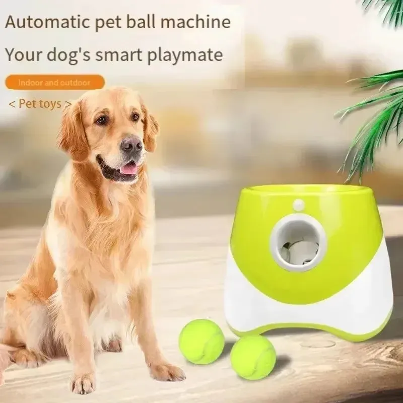 Automatic Pet Ball Launcher – Interactive Dog Toy