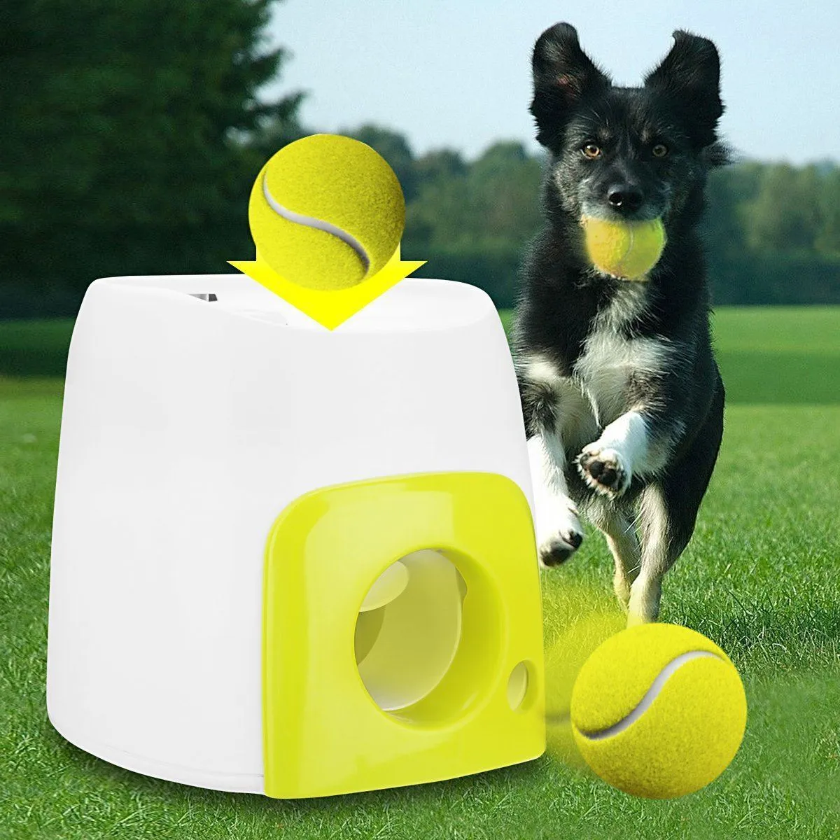 Automatic Tennis Ball Launcher Dog Toy