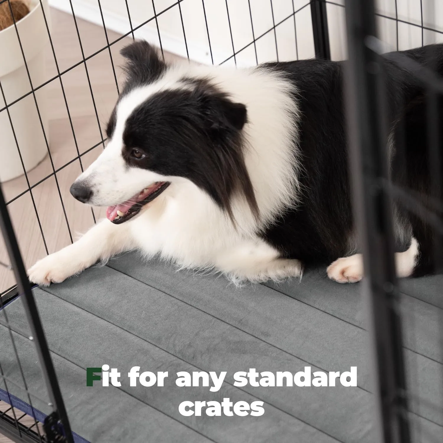 BALANCE Dog Crate Pad, Dog Foam Crate Mat Kennel Pad, Washable Water-Resistant Pet Bed Flat Dogs Cage Mat for Large Dogs