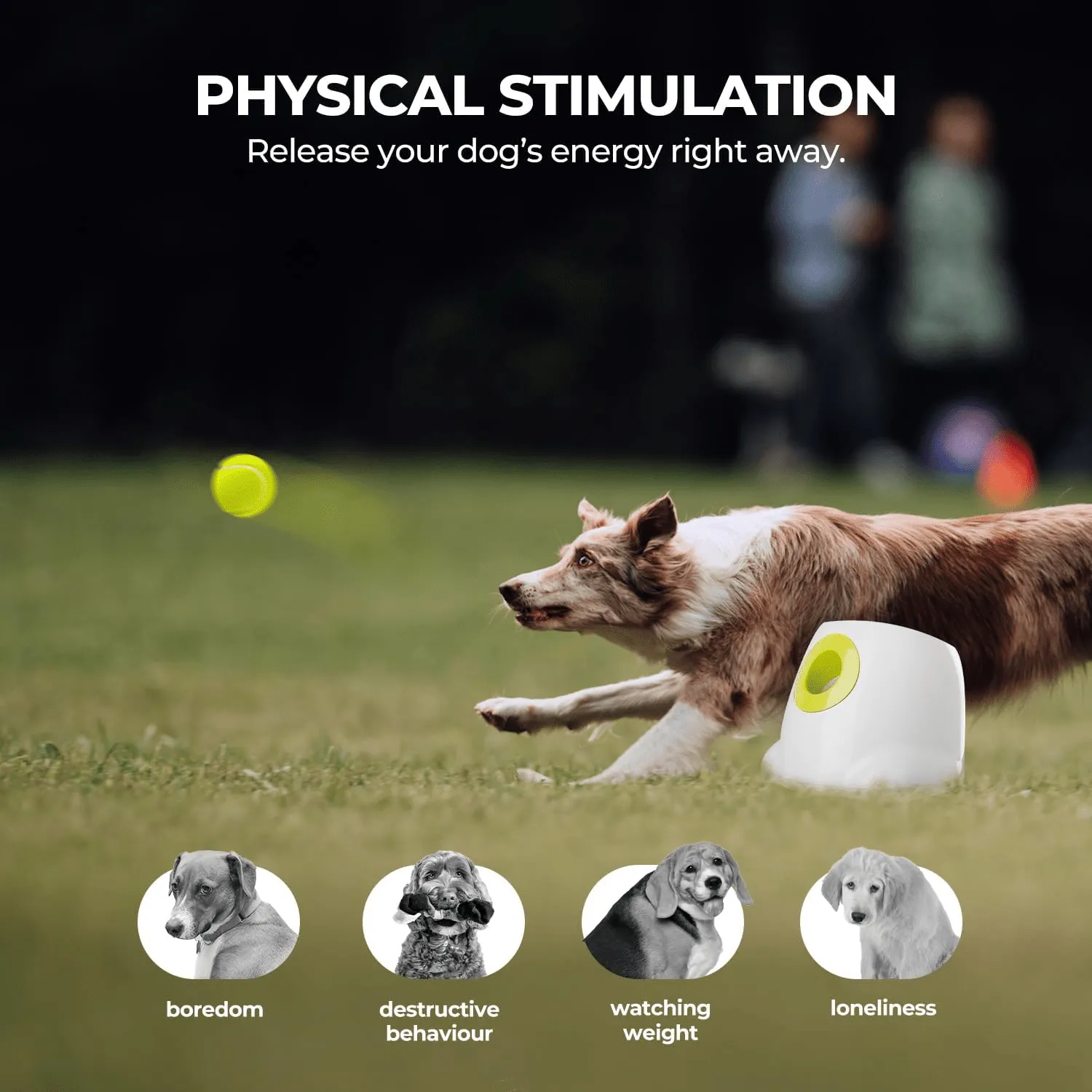 Calmshops Maxi Automatic Ball Launcher For Dogs Interactive Thrower