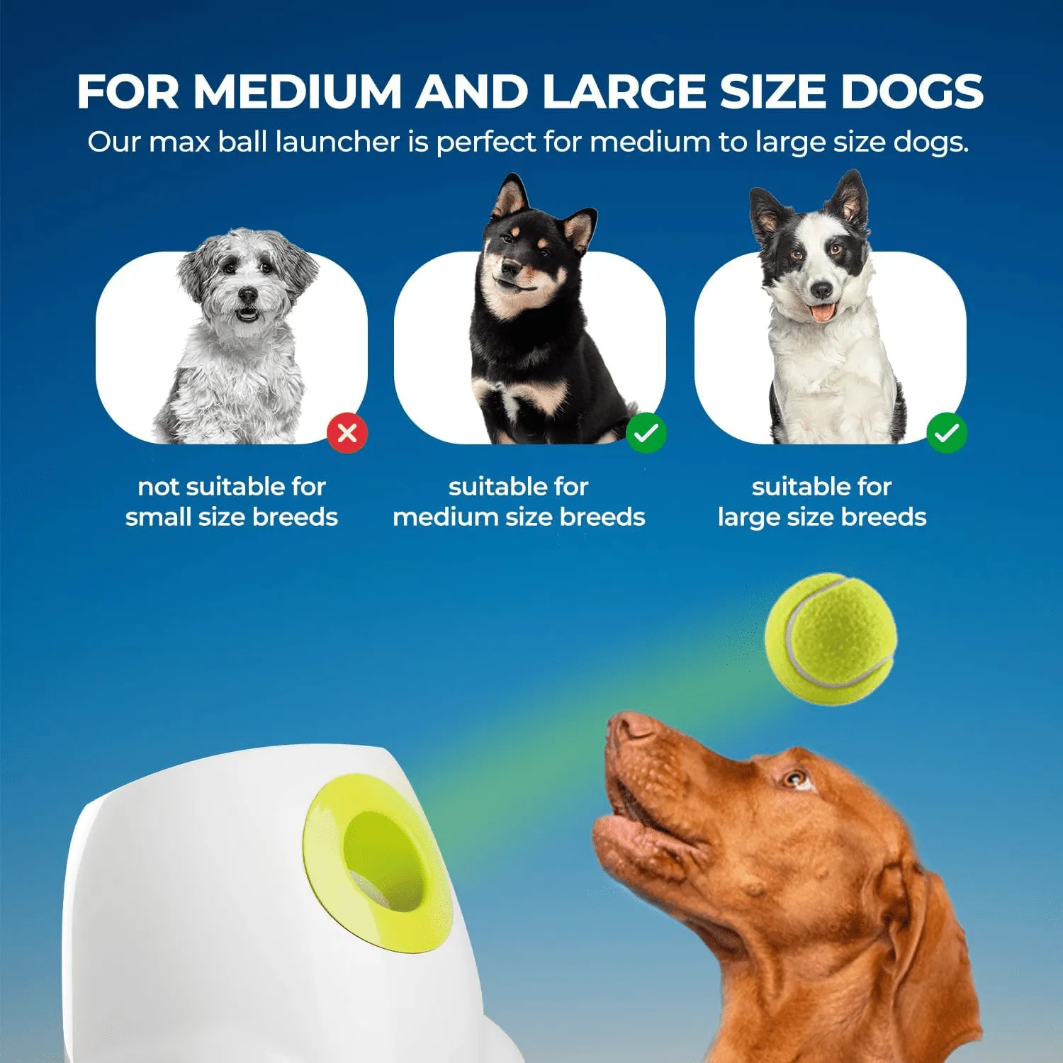 Calmshops Maxi Automatic Ball Launcher For Dogs Interactive Thrower