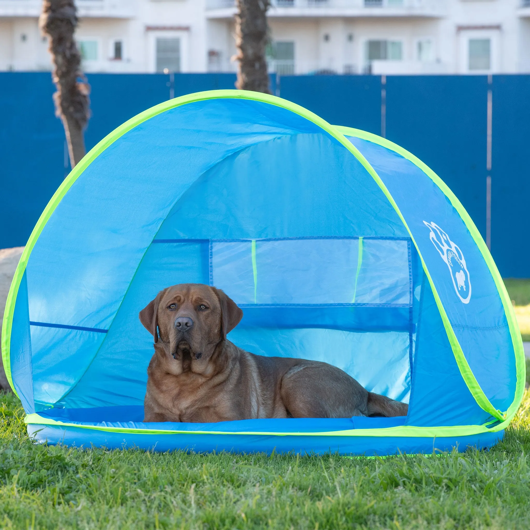 Canada Pooch Cooling Station - Blue