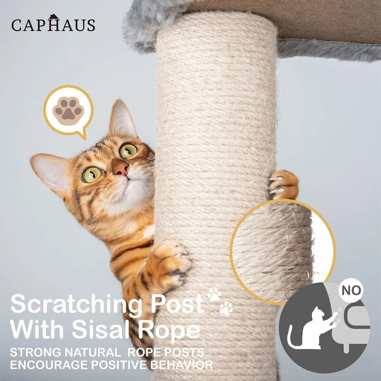 CAPHAUS 70-Inch Multi-Level Tall Cat Tree with Cute Top Perch, Scratching Posts, Cat Activity Tree w/Modern Hammock, Cat Cave Condo for Large Cats Kittens Tall Cat Climbing Play Tower