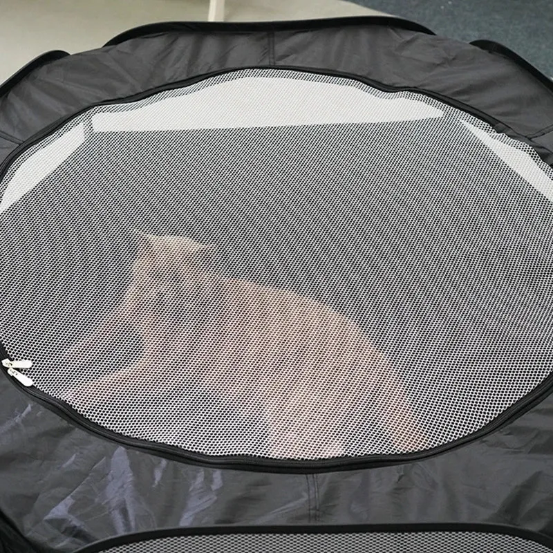Collapsible Cat Tunnel Cube: 2-in-1 Interactive Pet Toy
