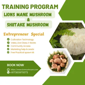 Combo Course Lion's Mane & Shiitake Mushroom Cultivation Training Program