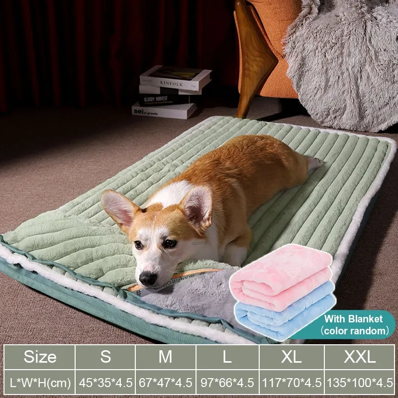 Dog Bed with Padded Cushion