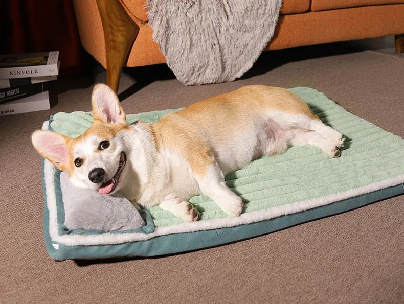 Dog Bed with Padded Cushion