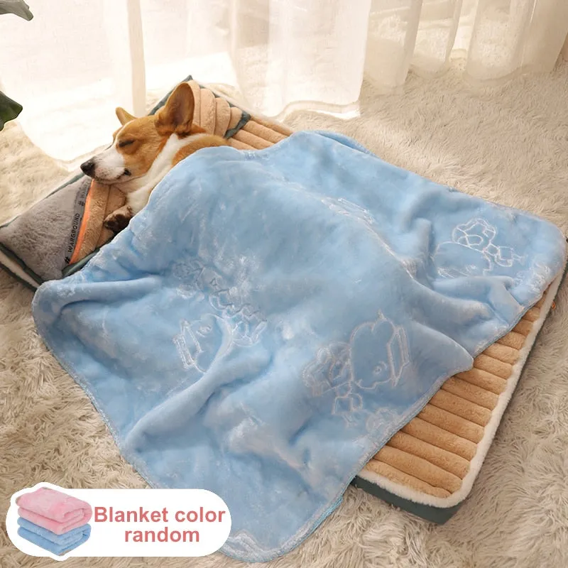 Dog Bed with Padded Cushion