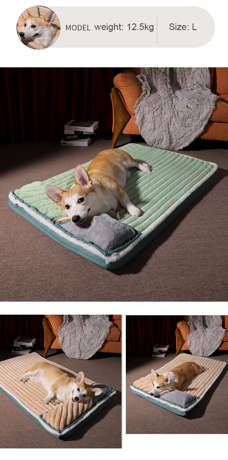 Dog Bed with Padded Cushion