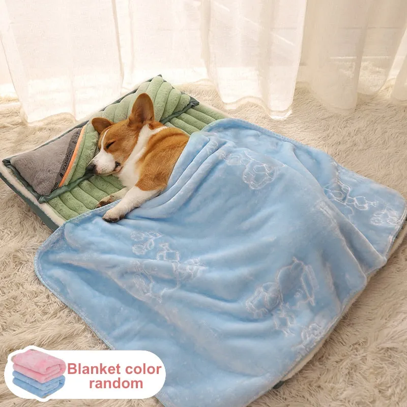 Dog Bed with Padded Cushion