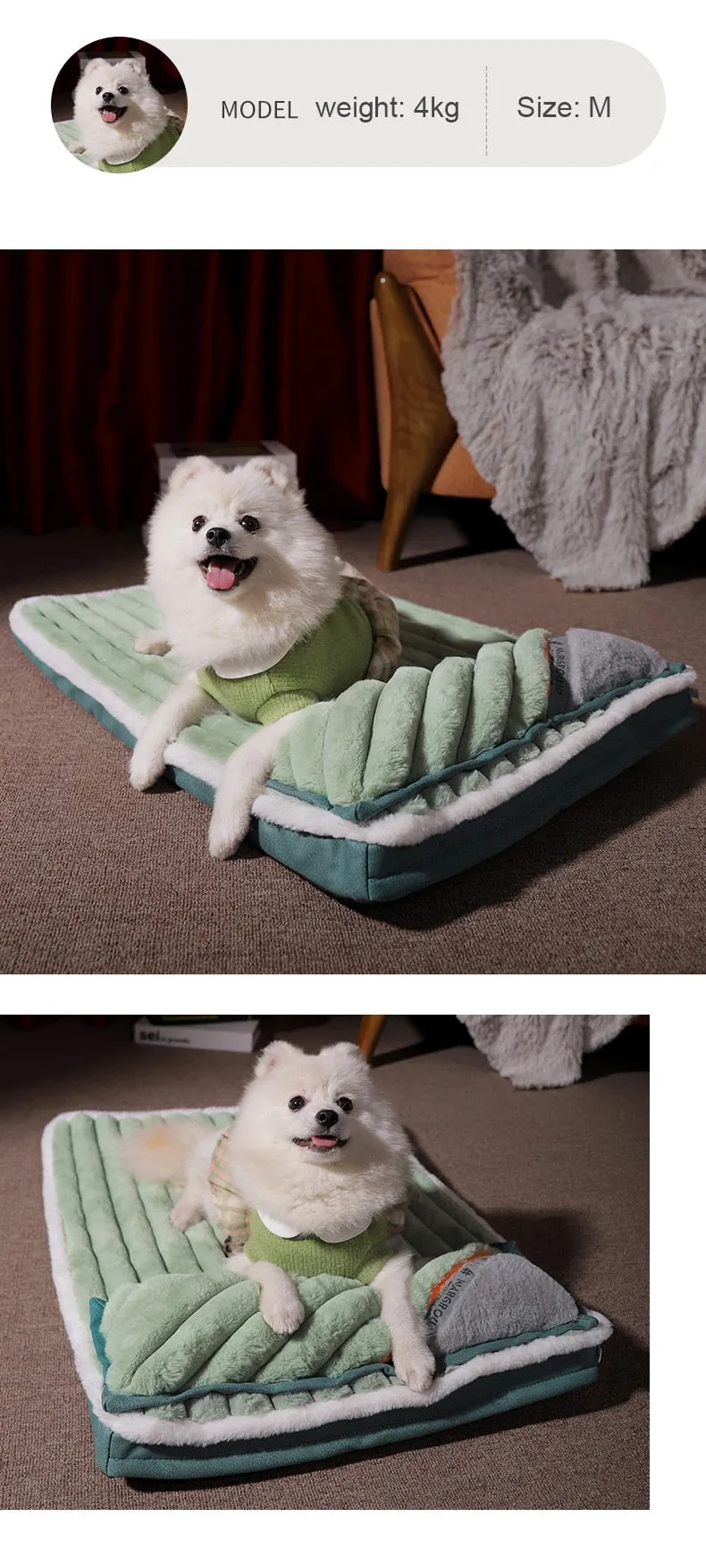 Dog Bed with Padded Cushion