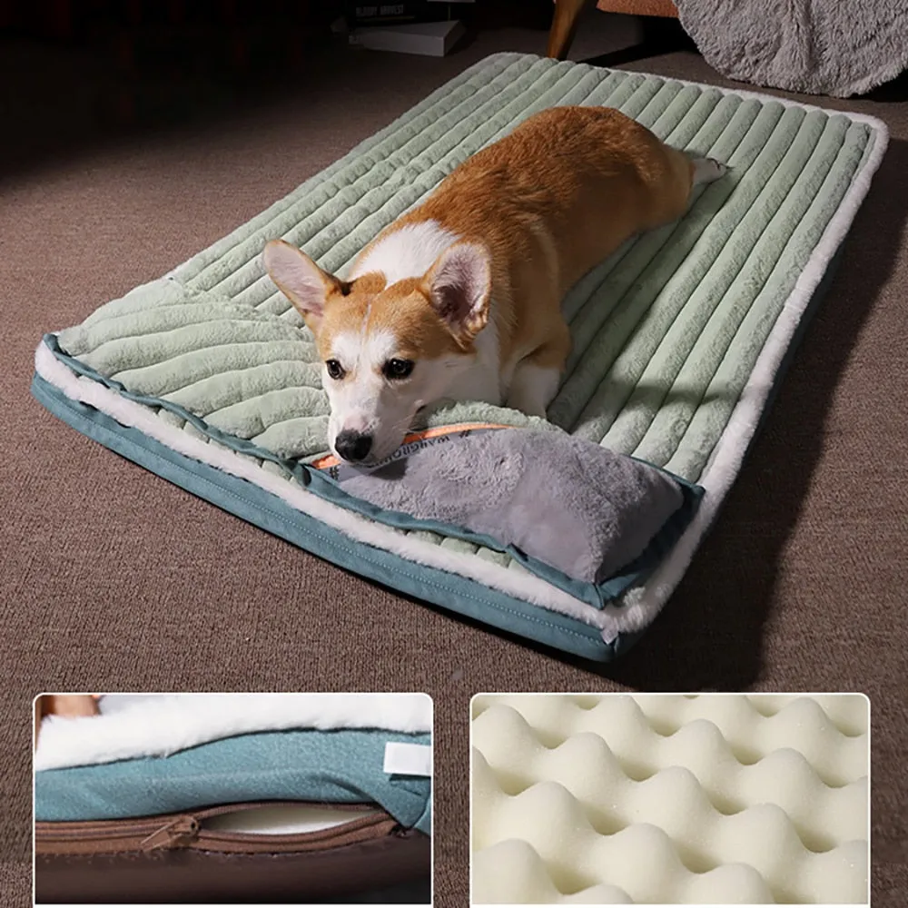 Dog Bed with Padded Cushion