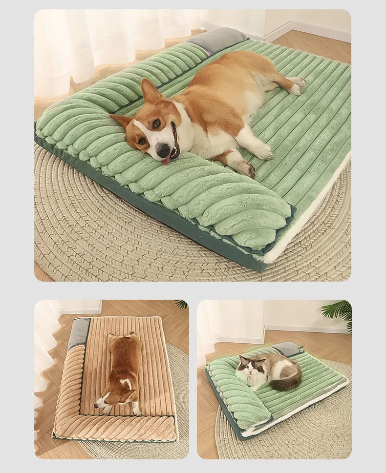 Dog Bed with Padded Cushion