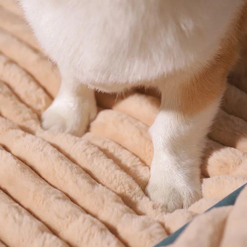 Dog Bed with Padded Cushion