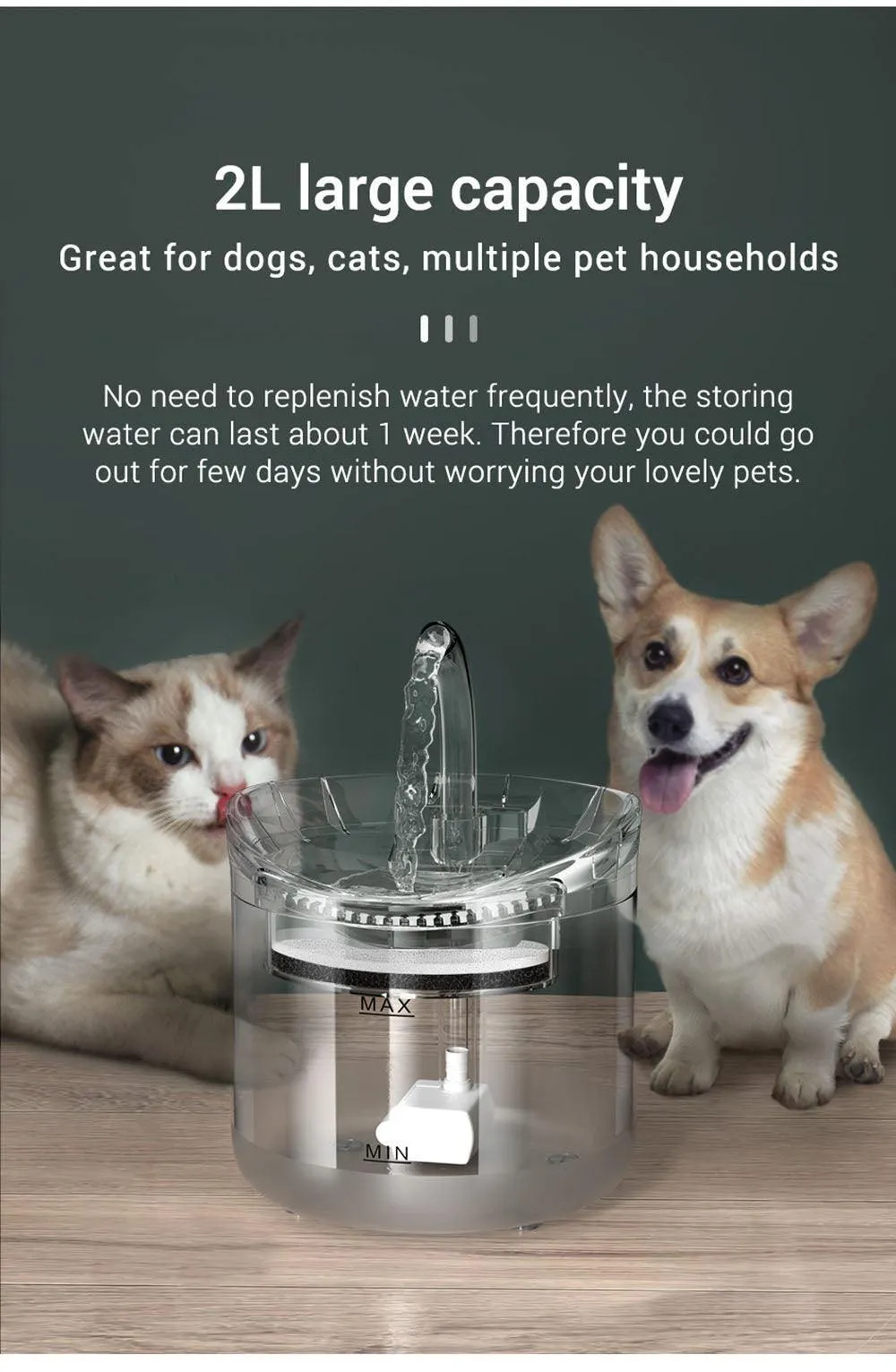 Filtered water fountain for your pet