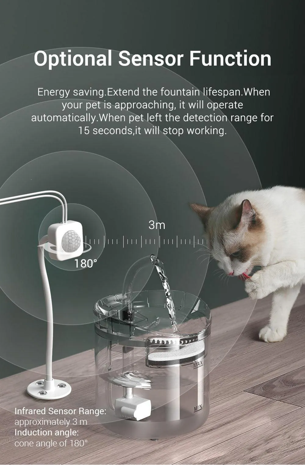 Filtered water fountain for your pet