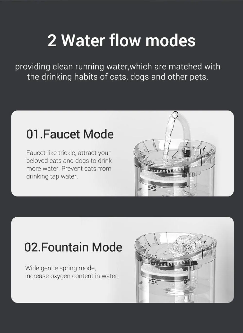 Filtered water fountain for your pet