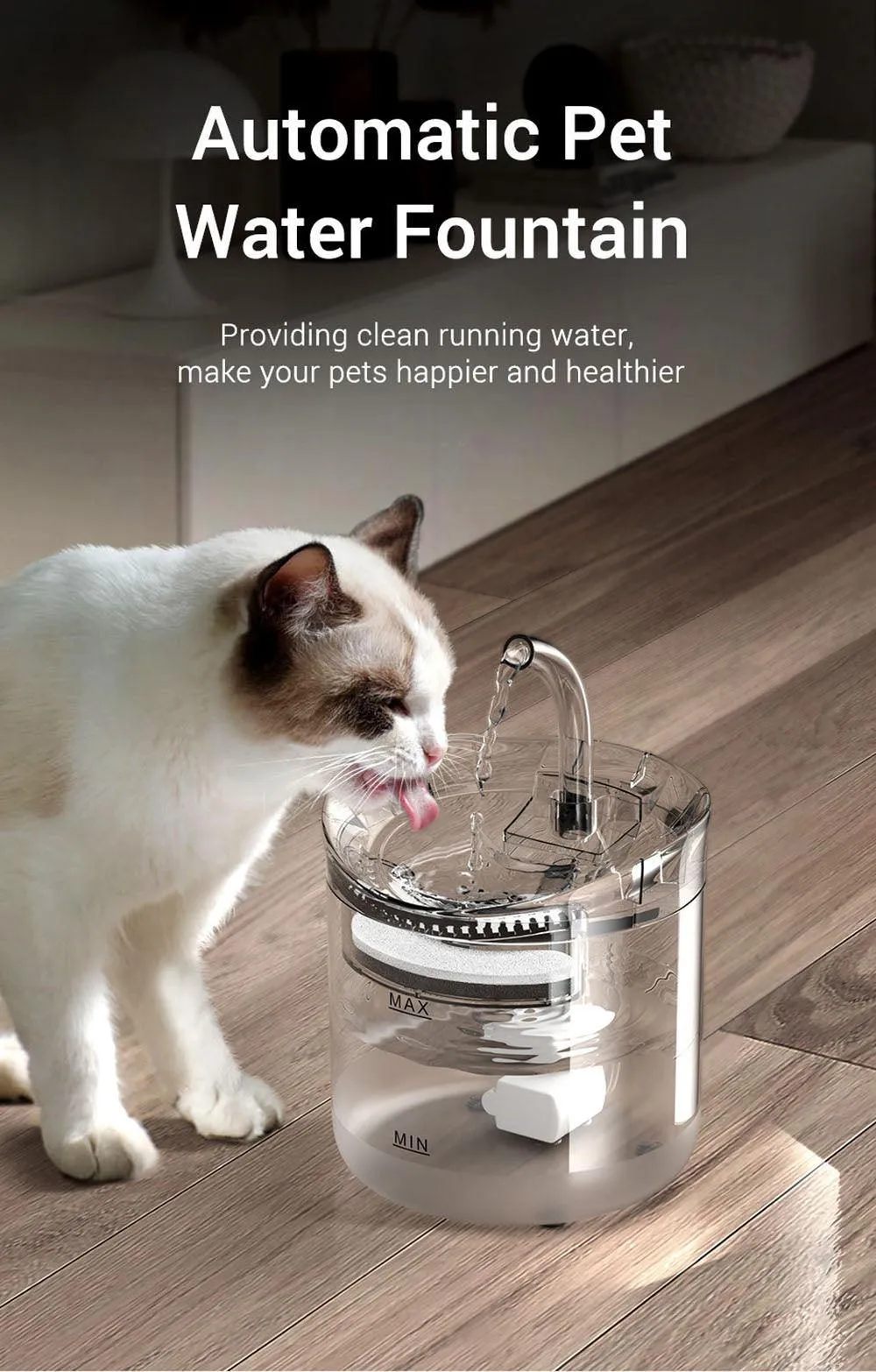 Filtered water fountain for your pet