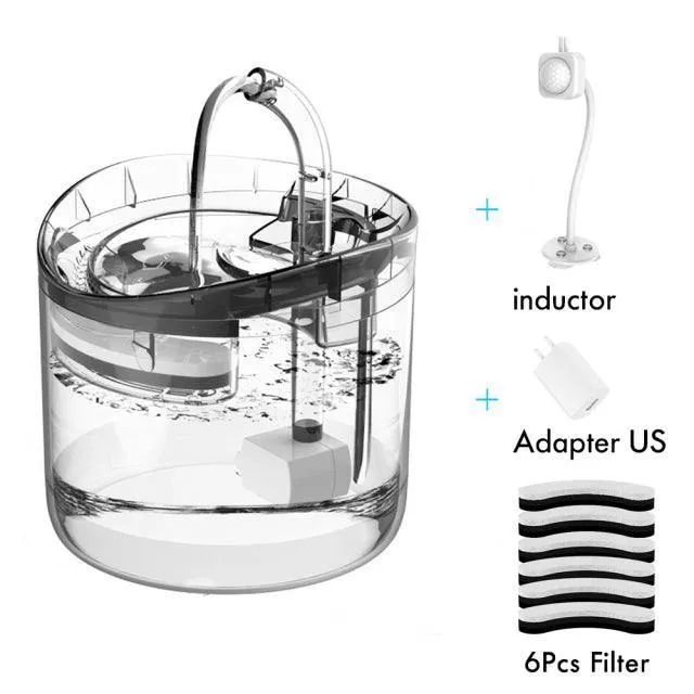 Filtered water fountain for your pet