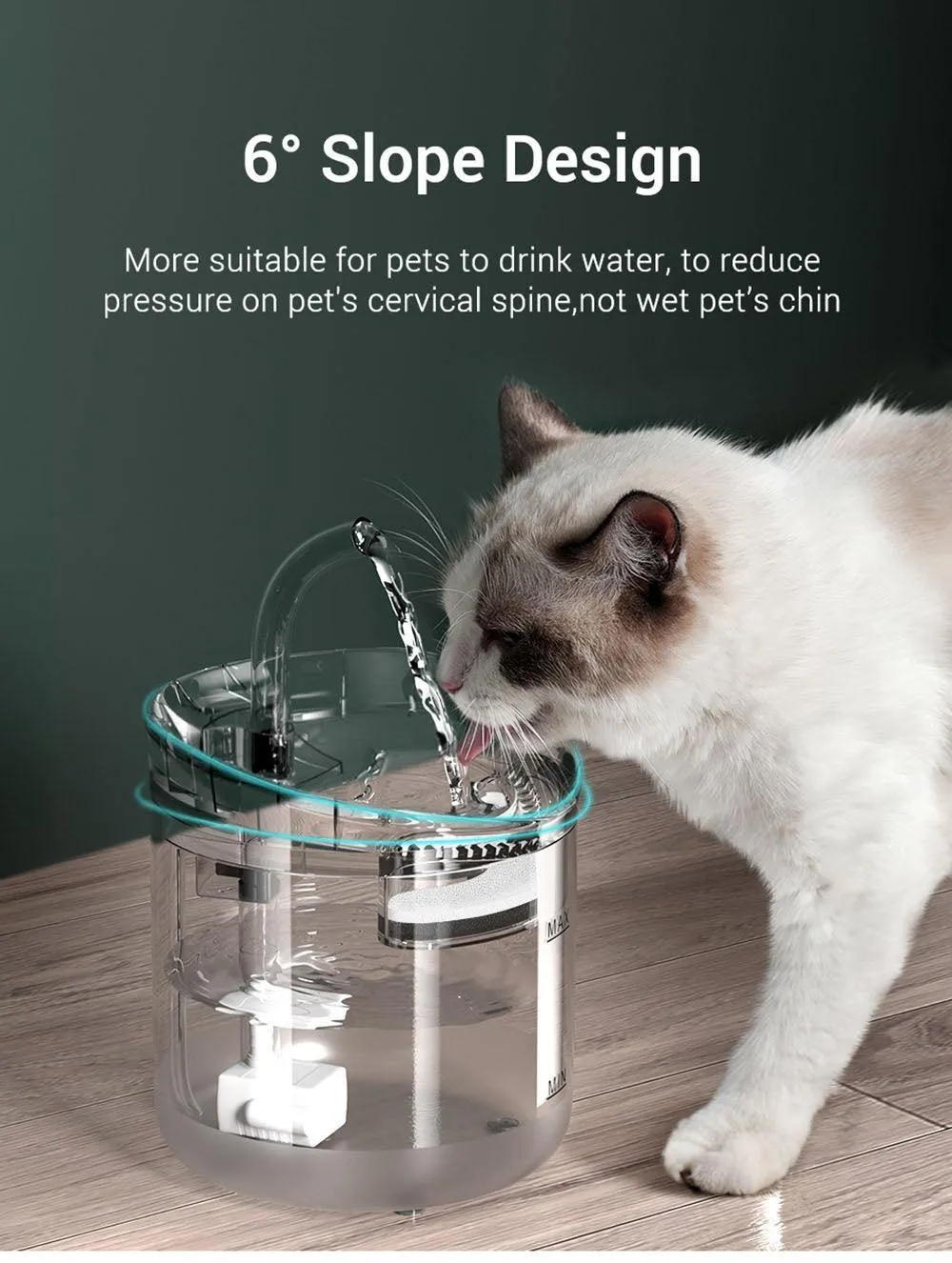 Filtered water fountain for your pet