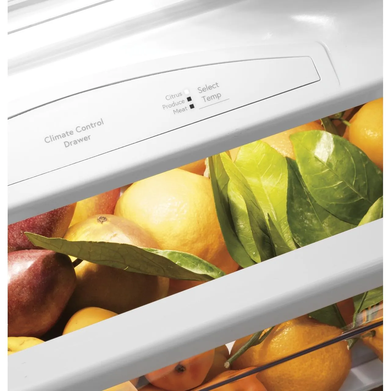 GE Profile 42-inch, 24.5 cu. ft. Side-by-Side Refrigerator with Dispenser PSB42YSNSS