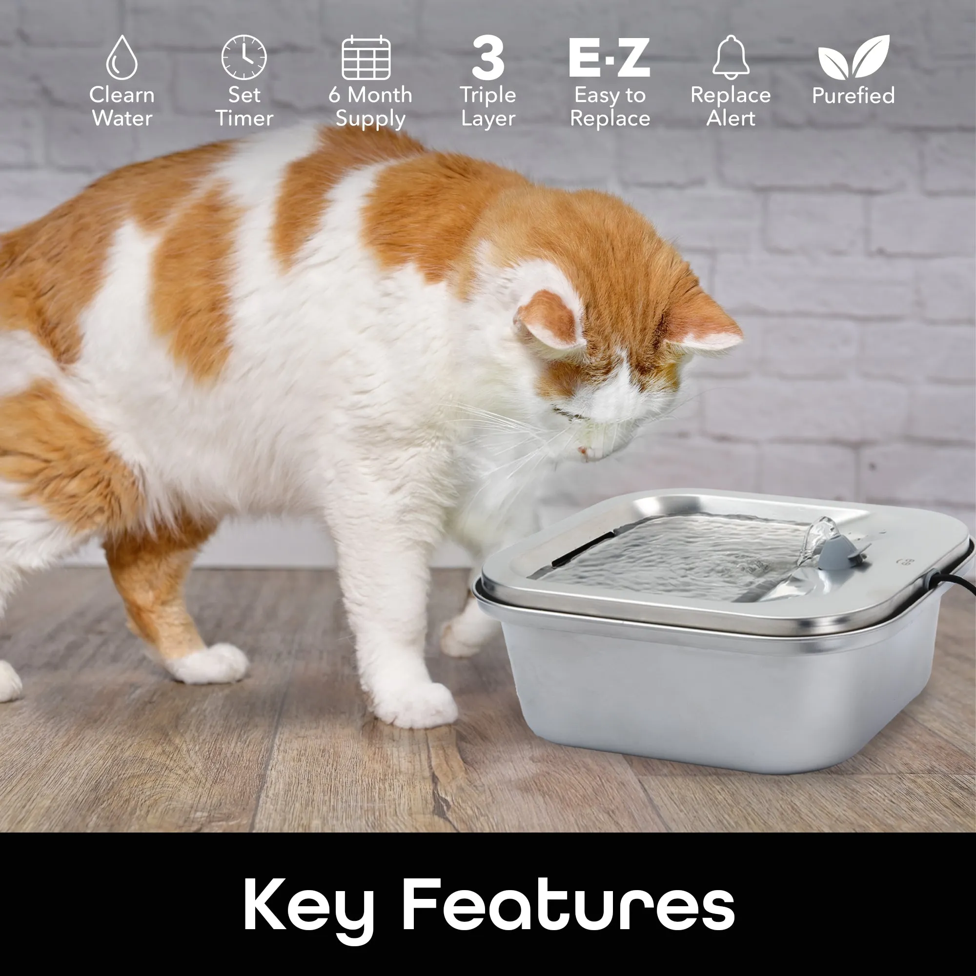 Geeni Filter for Stainless Steel Water Bowl for Cats and Dogs (12-Pack)