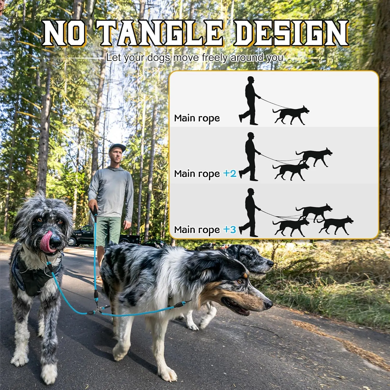 Heavy Duty 3 Dog Leash - Double Dog Leash, 360 Swivel, No Tangle, Total Length 59 in for Walking & Training Dual Dogs/Three Dogs (Blue, L)