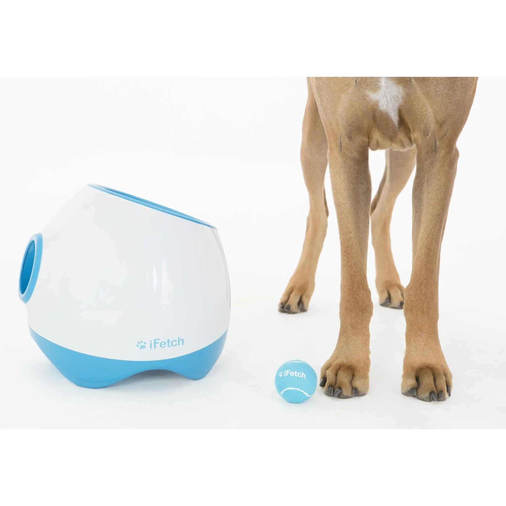 iFetch Too Ball Launcher