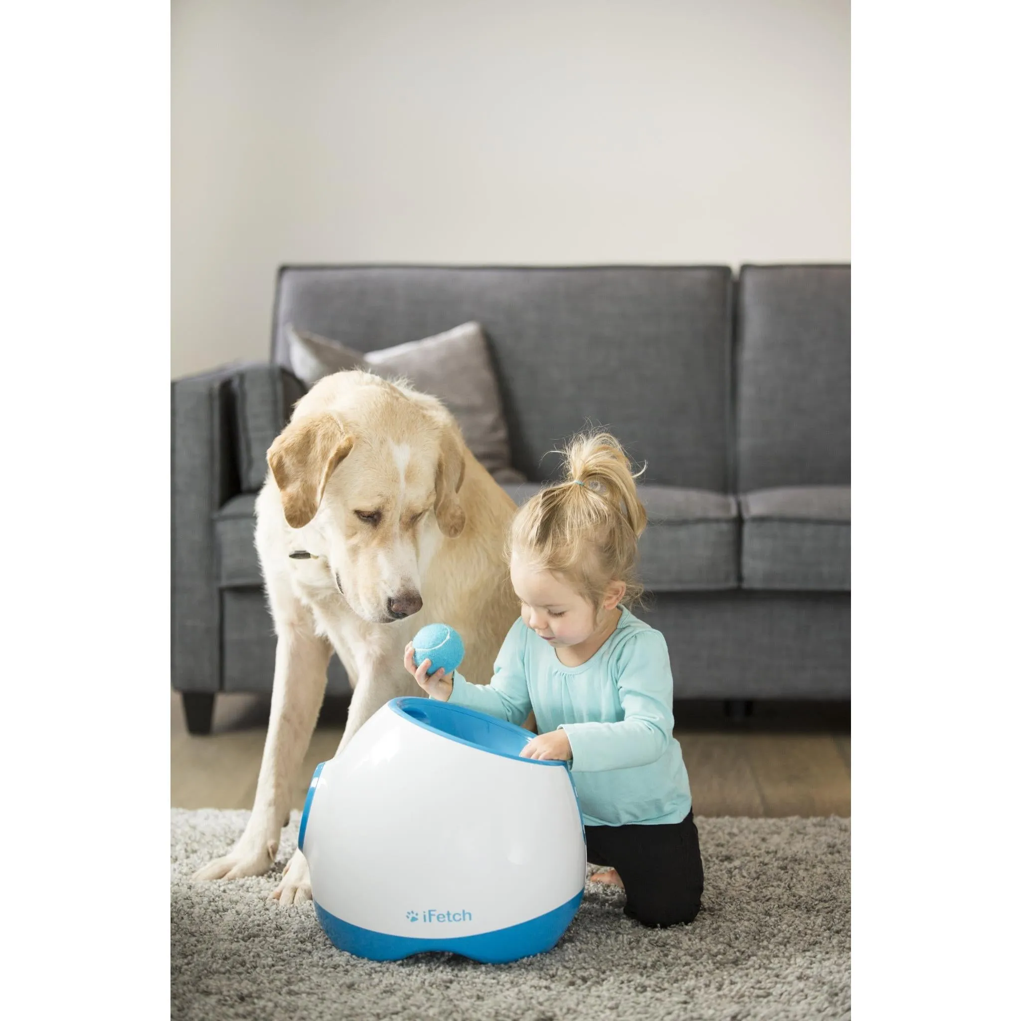 iFetch Too Ball Launcher