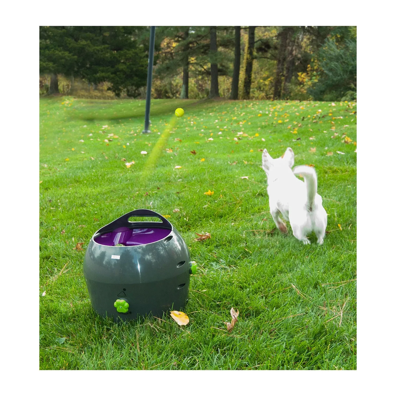 PetSafe Automatic Ball Launcher