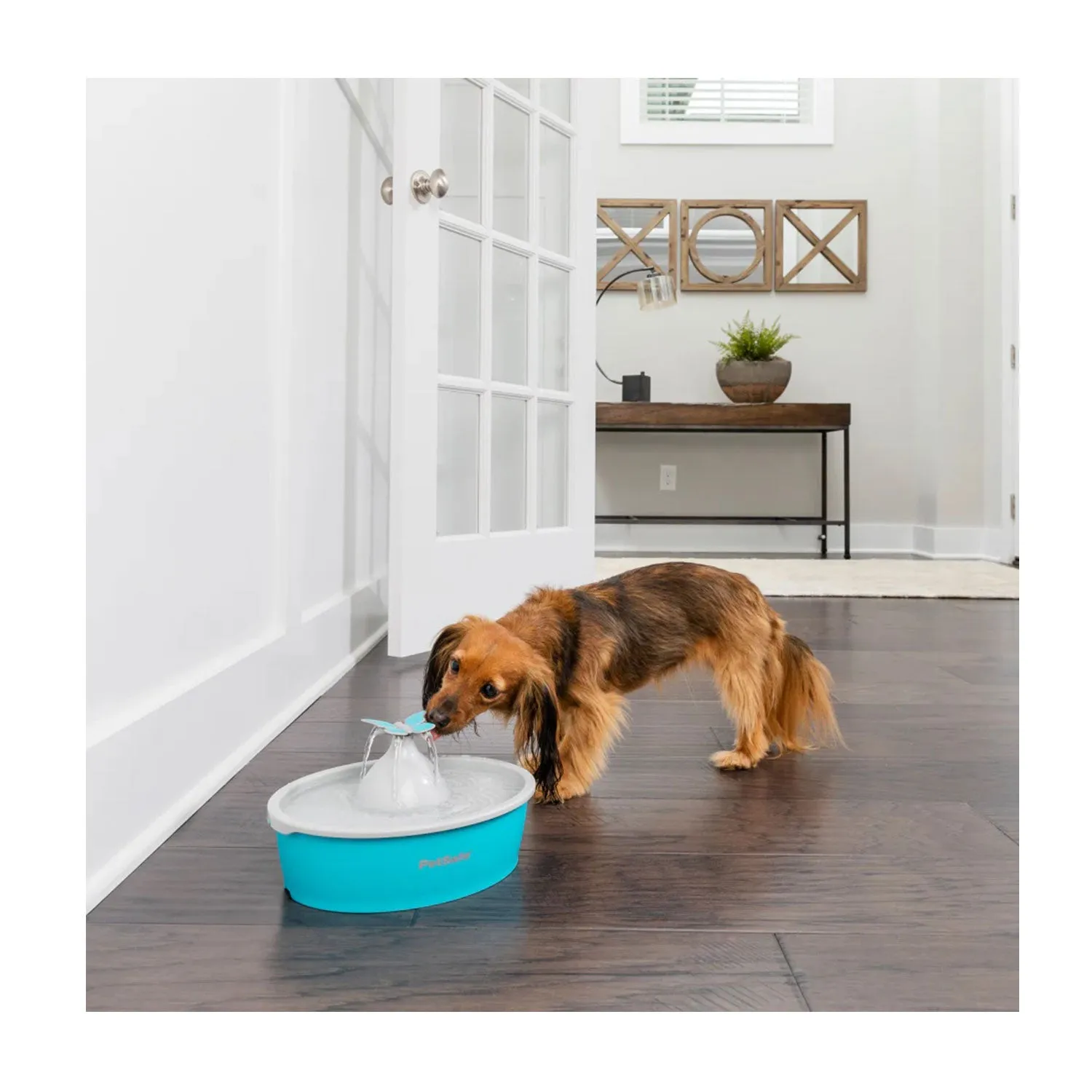PetSafe Drinkwell Butterfly Pet Fountain 1.5L