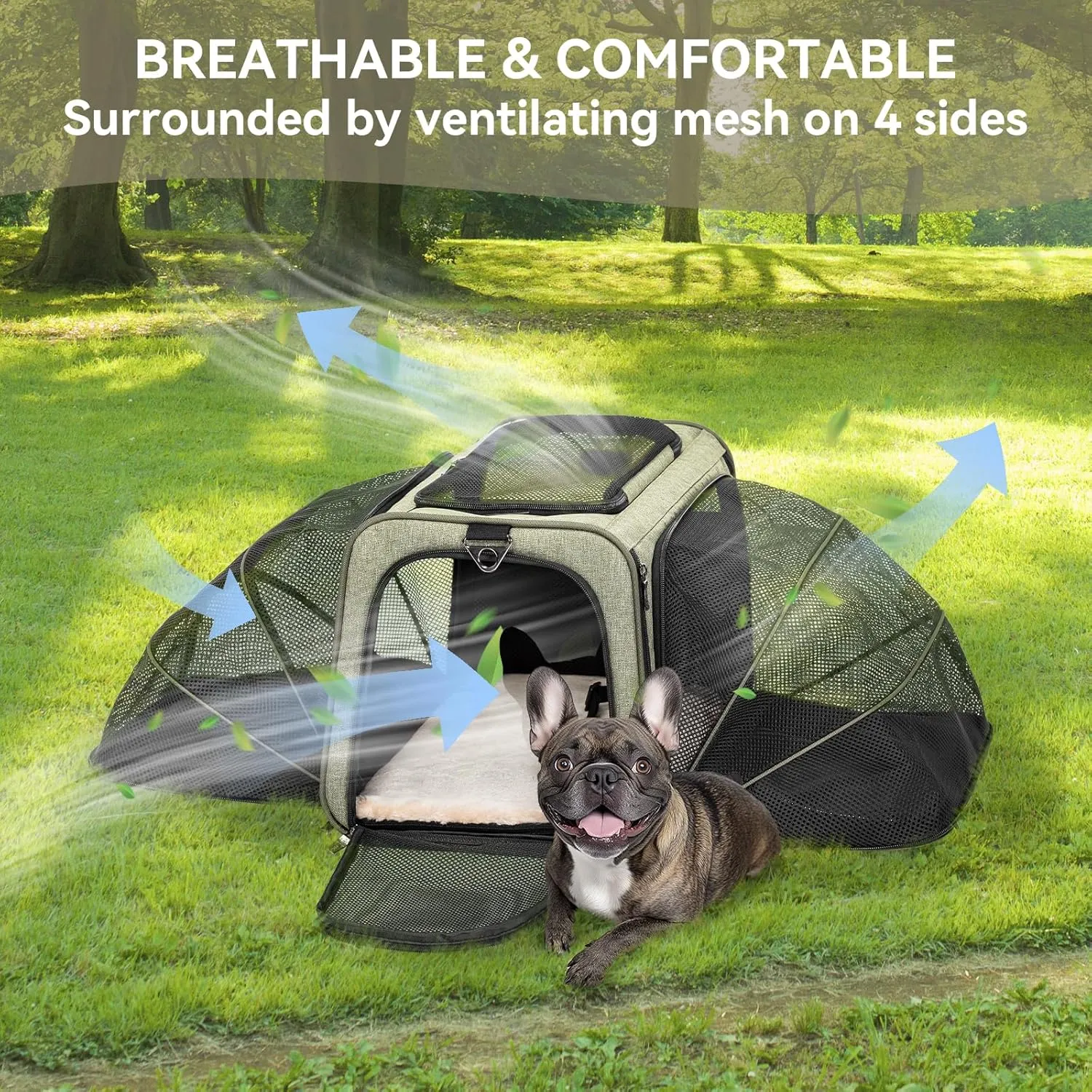 Petsfit Expandable Cat Carrier Dog Carrier, Soft-Sided Portable Pet Travel Carrier, Removable Soft Plush mat and Pockets, Locking Safety Zippers, 19x12x12 Inches