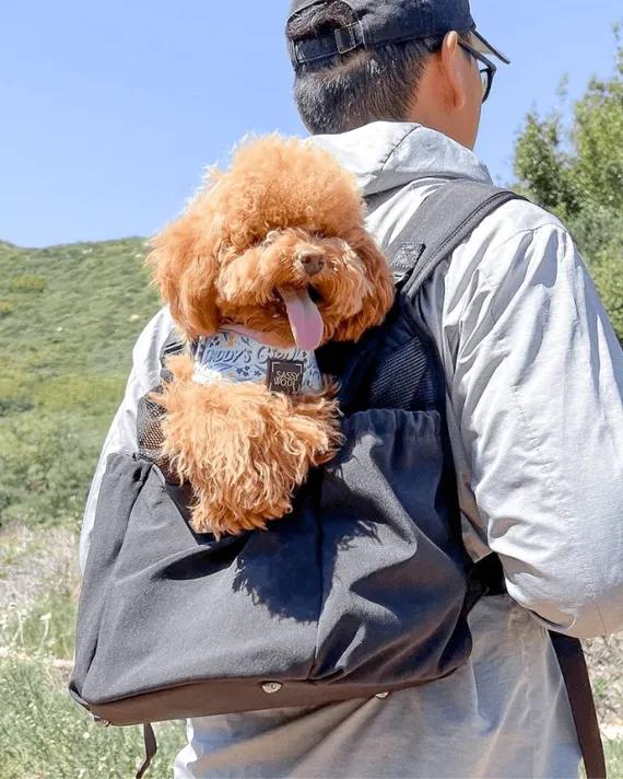 Saddle Up Black Front   Back Carrier